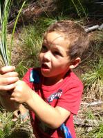 Bear_Grass_Grizzly.jpg