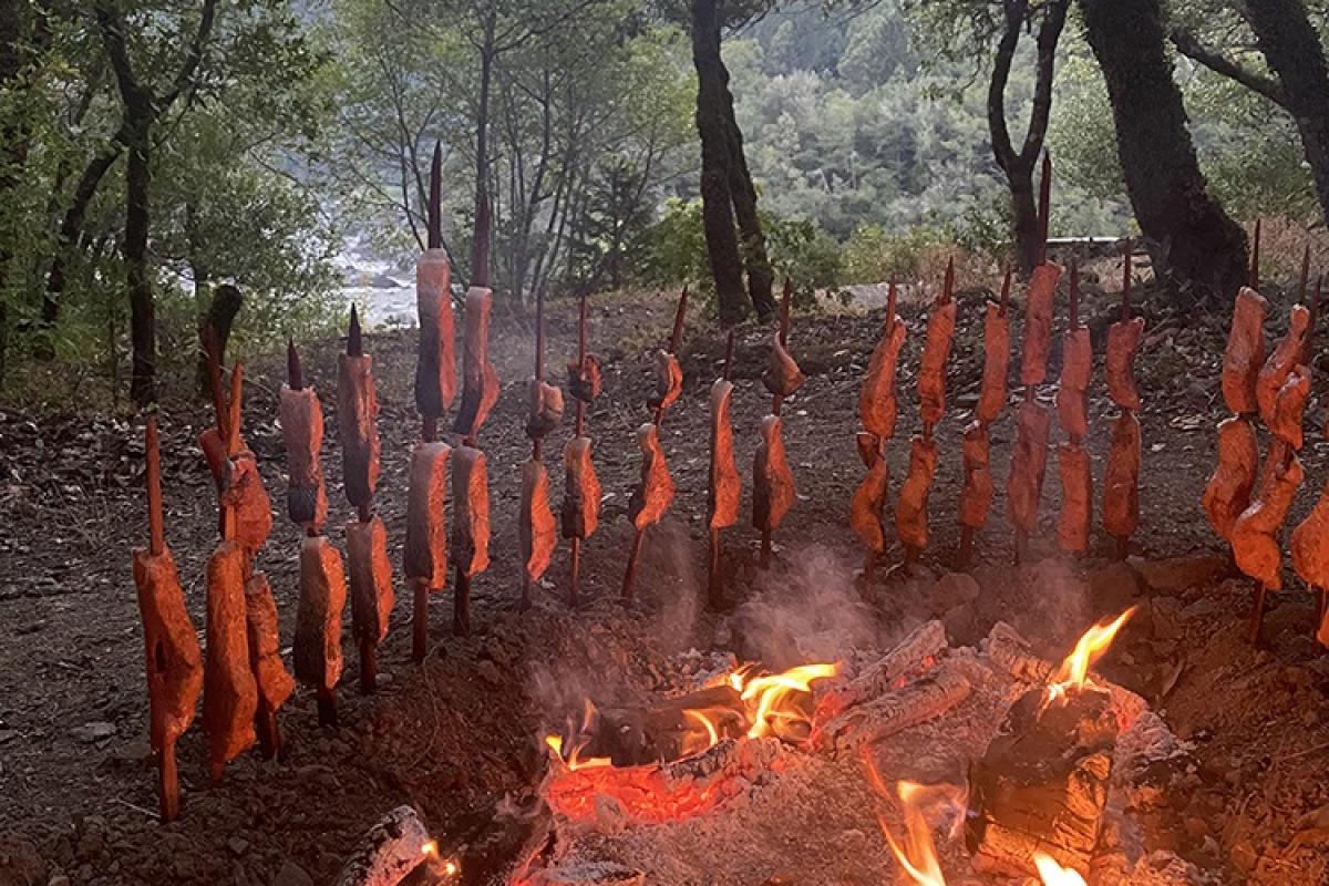 Cooking Salmon on Sticks at Katimîin Pikyavish / World Renewal