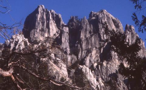CC_MichaelThom_003_r.jpg