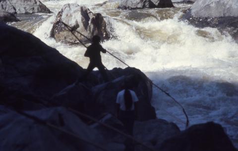 CC_MichaelThom_007_r.jpg