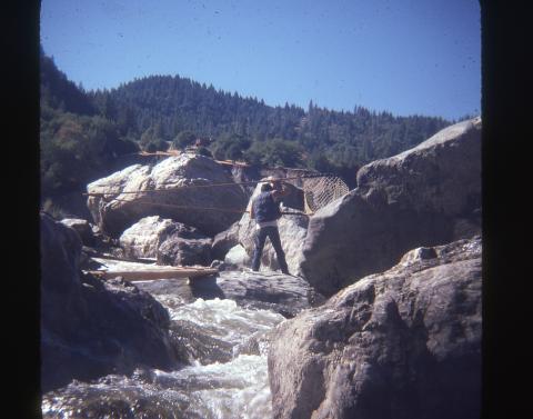 CC_MichaelThom_009_r.jpg