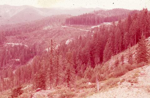 CC_MichaelThom_026_r.jpg