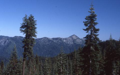 CC_MichaelThom_037_r.jpg