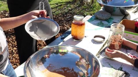 Making Manzanita Berry Cider
