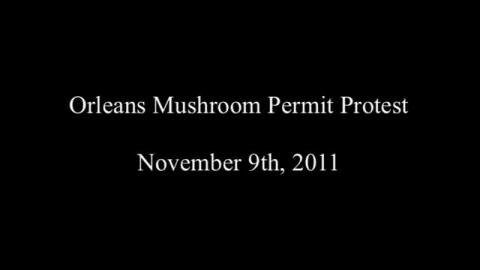 Mushroom_Protest.mov