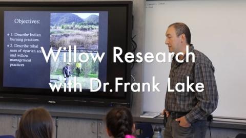 Willows_FrankLake
