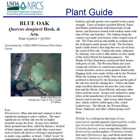 AFRIFoodSecurity_UCB_ArielleHalpern_001_010.pdf
