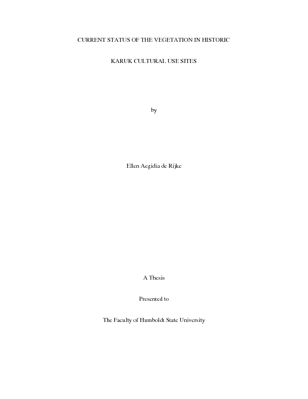 file type icon
