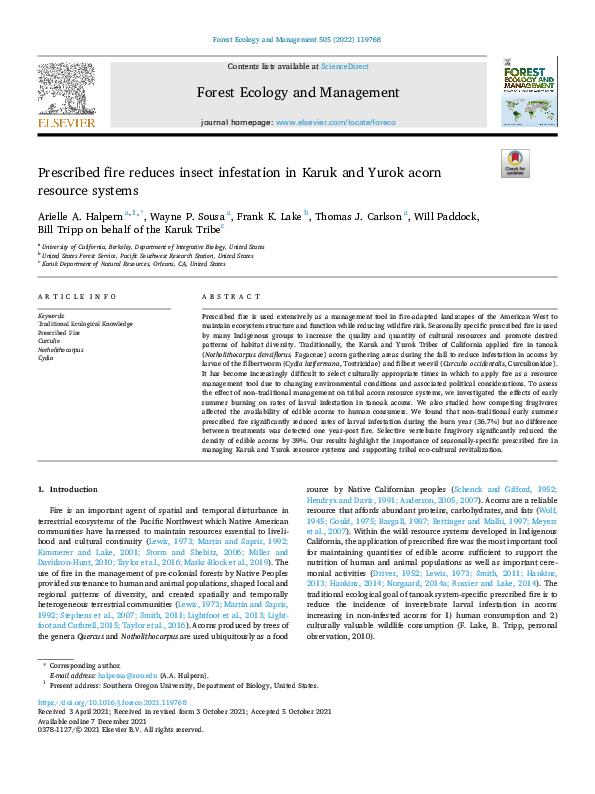 file type icon
